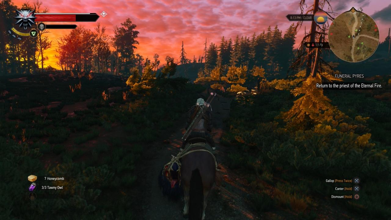 Every horse Geralt has owned is called Roach. Talk about an identity crisis.